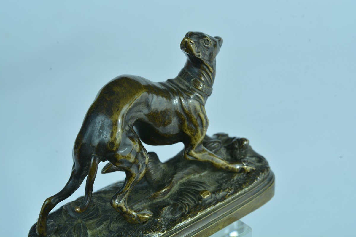 Jules Moignez Ancien Bronze Animalier Lévrier Au Lièvre De Collection N°5 19ème -photo-2