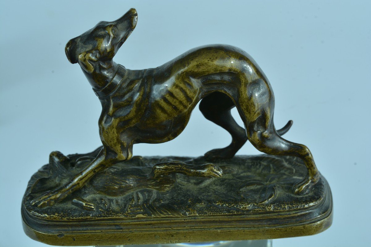 Jules Moignez Ancien Bronze Animalier Lévrier Au Lièvre De Collection N°5 19ème -photo-3
