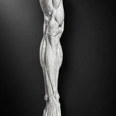 Premiere-Image-1819834