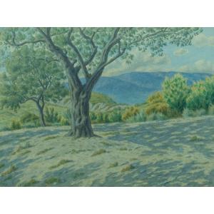 Ancien Dessin Henri Rivière Paysage La Drome Buis-les-baronnies Genêts Oliviers Provence