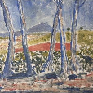 Tableau ancien école Varoise Fauve Fauvisme paysage aux pins et colline  signé  RICHET
