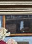 1792432-alb-6a51f3a06cab9.jpg