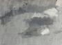 1824939-alb-6aaffe74c65cc.jpg