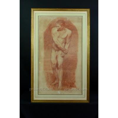 Beautiful Table Old Academie Nude Portrait Of Man 18 Th Drawing Sanguine Signed