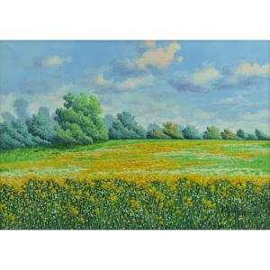  Licinio Campagnari Beau Tableau Ancien Paysage Champ De Colza Italie Ombrie