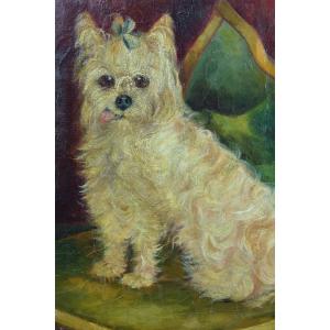 Ancien Tableau Portrait De Chien Yorkshire Signé 19ème Antique Dog Painting 19e