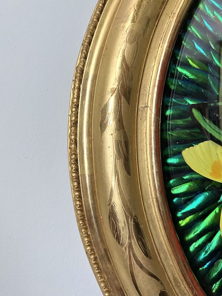 Oval Frame In Gilded Wood With Gold Leaf - Cabinet Of Curiosities - Butterflies - Napoleon III - 19th Century-photo-6