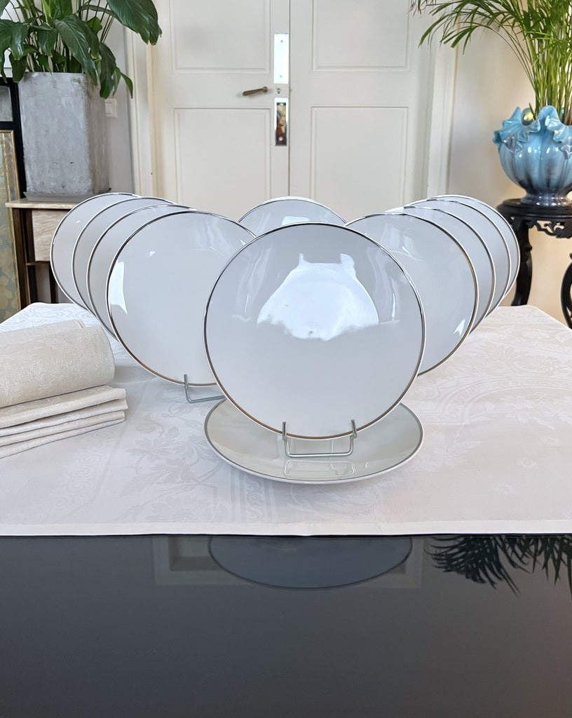 Vintage Dinner Plates - Porcelain With Platinum Net Decor-photo-4