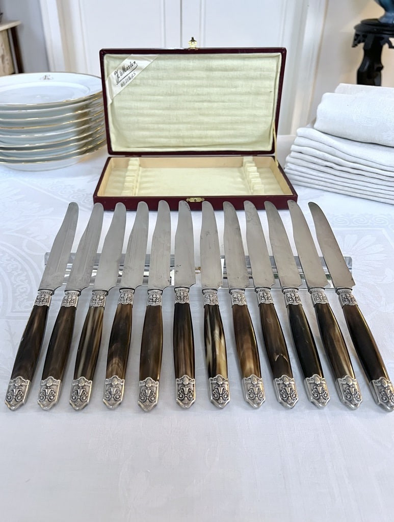 Art Deco Knives - Bovine Horn And Silver-plated Metal Handles - Gift Box-photo-4