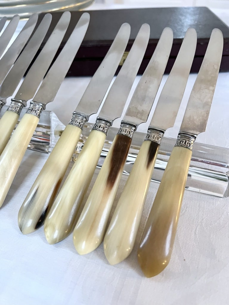 Couteaux à entremets Art Déco - Corne bovine métal argenté lames acier inoxydable -photo-2