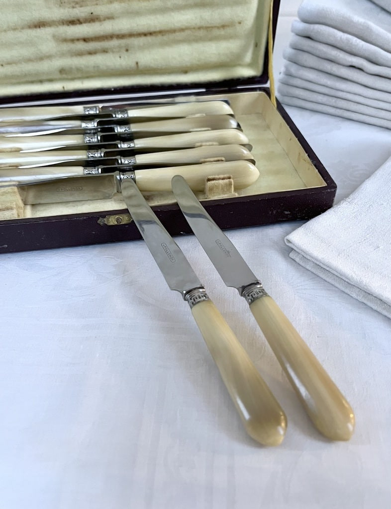 Couteaux à entremets Art Déco - Corne bovine métal argenté lames acier inoxydable -photo-3
