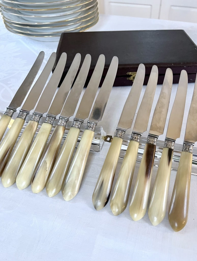 Couteaux à entremets Art Déco - Corne bovine métal argenté lames acier inoxydable -photo-7