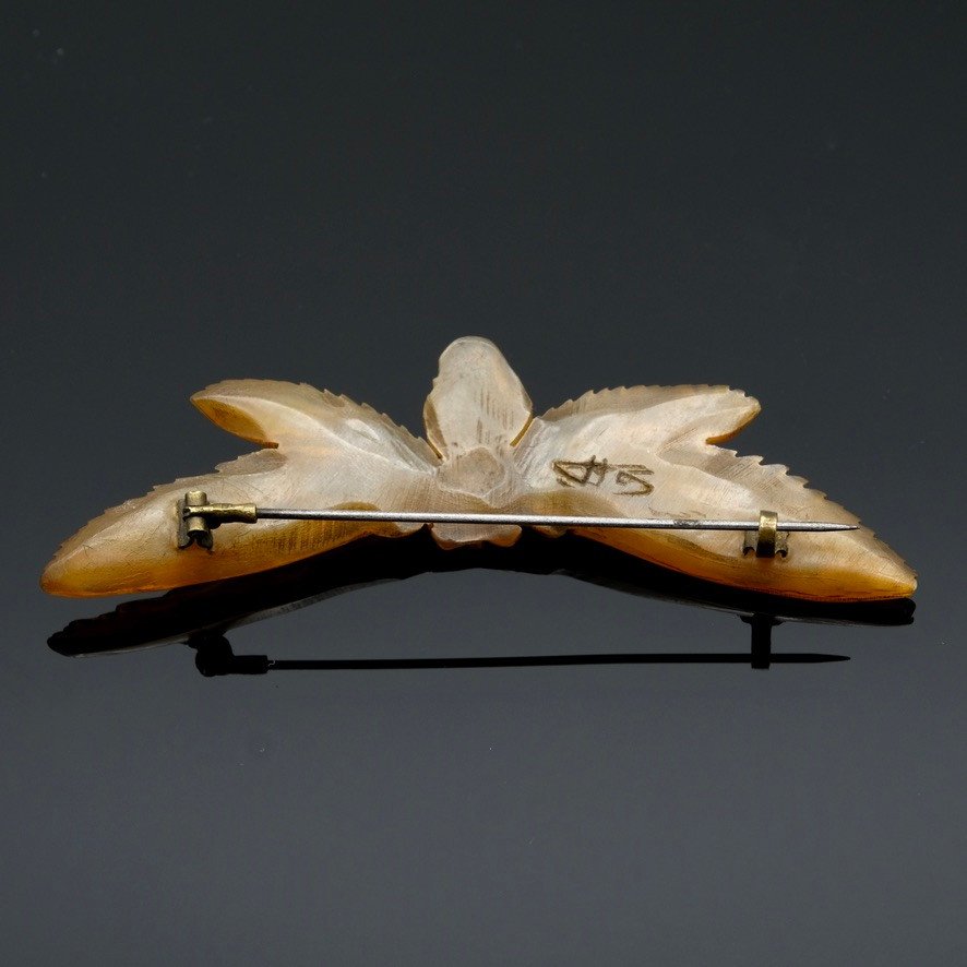 Art Nouveau Period Brooch Winged Insect In Carved Horn, Signed Gip-photo-3