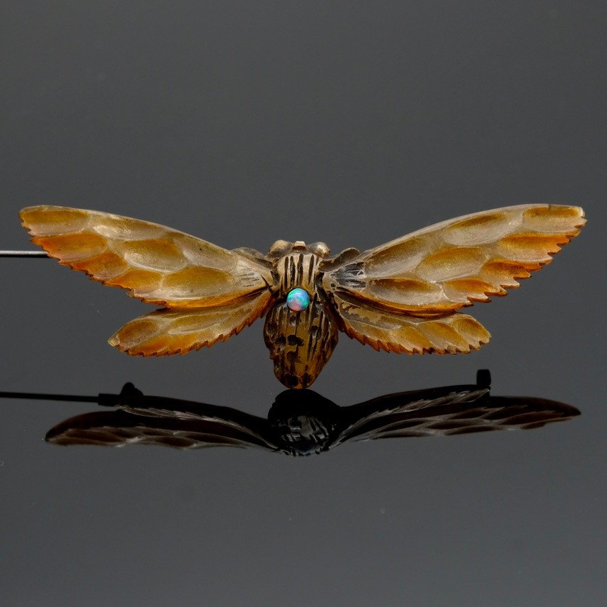 Art Nouveau Period Brooch Winged Insect In Carved Horn, Signed Gip