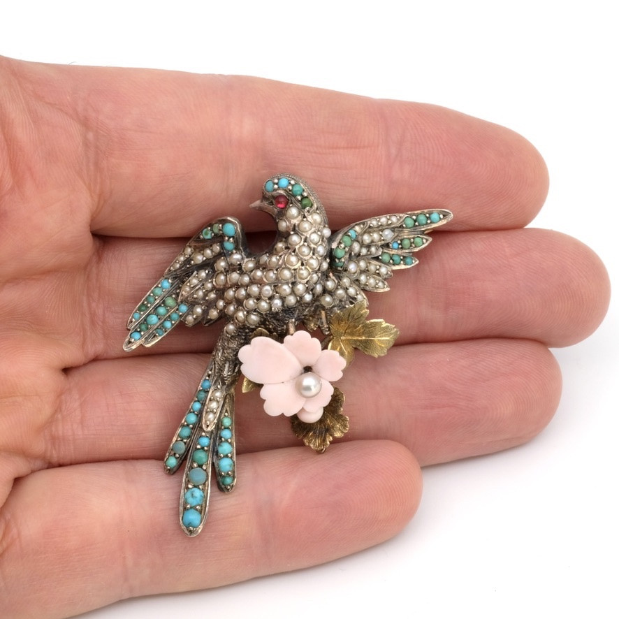19th Century Bird Of Paradise  Brooch With Pearls, Gold And Silver Turquoise In Case-photo-4