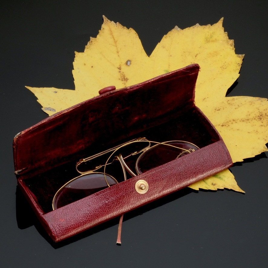 Pince-nez &agrave; ressort en or avec cha&icirc;ne d'oreille en &eacute;crin, 1920-photo-2