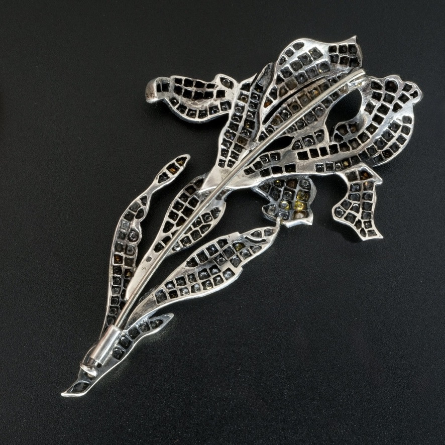 Art Nouveau Iris Brooch With Crystals And Silver, Early 20th Century-photo-1