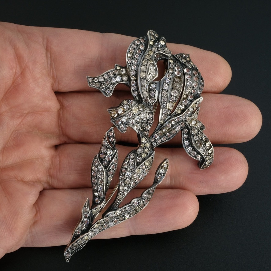 Art Nouveau Iris Brooch With Crystals And Silver, Early 20th Century-photo-3