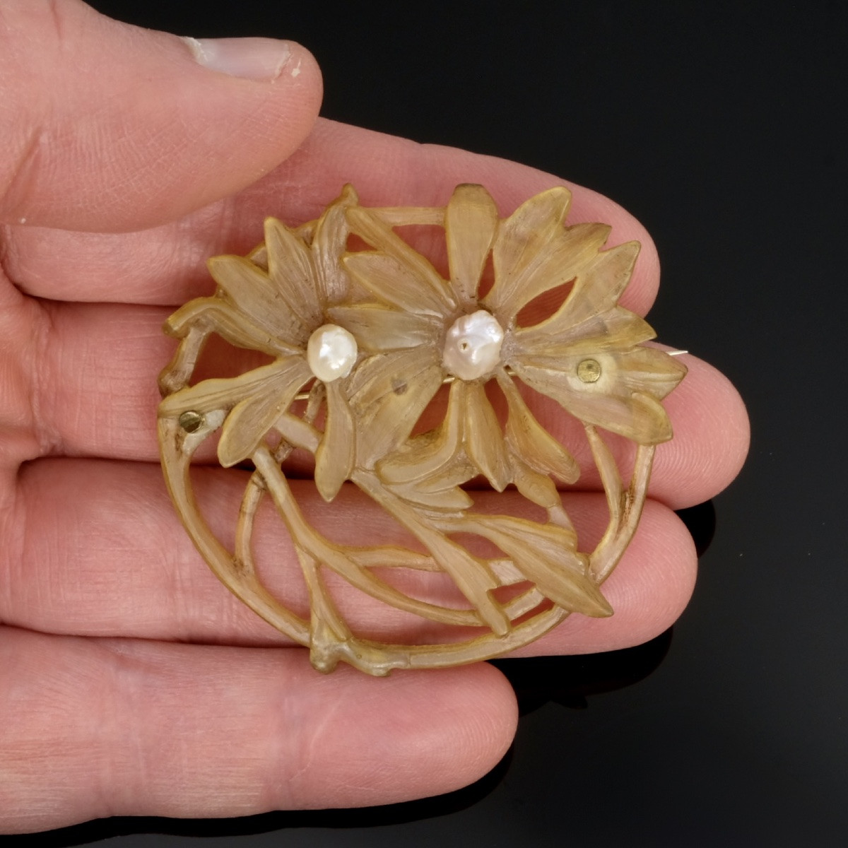 Art Nouveau Brooch, 1900s, Blonde Horn And Pearls, Dlg Lucien Gaillard-photo-1
