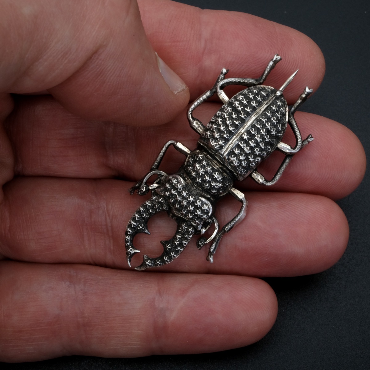 Broche hanneton argent 19ème siècle-photo-3