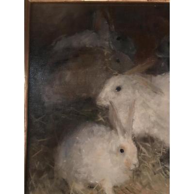 Rabbits