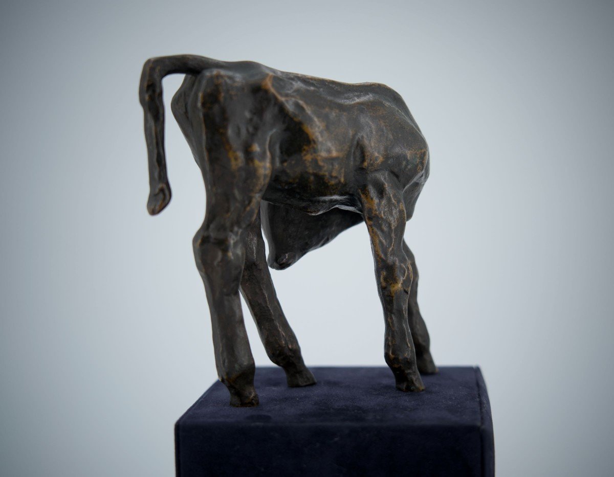 Renée Sintenis (1888 – 1965) Sculpture En Bronze  « Jeune Taureau »-photo-3