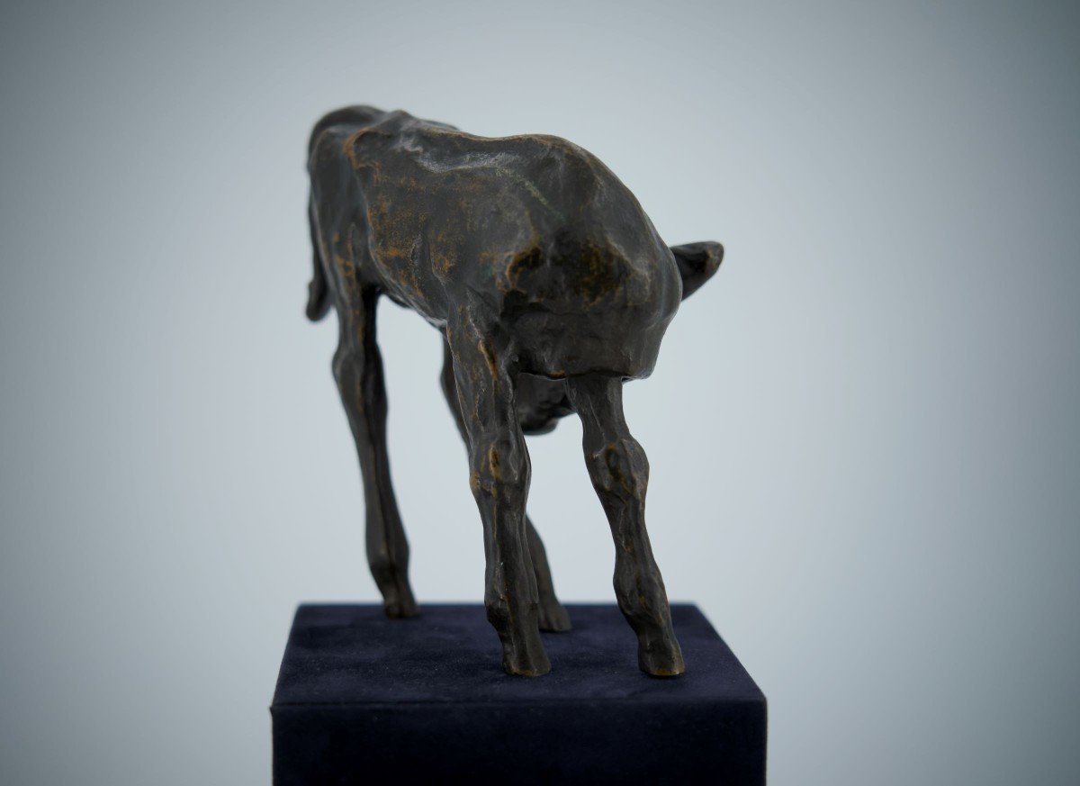 Renée Sintenis (1888 – 1965) Sculpture En Bronze  « Jeune Taureau »-photo-4