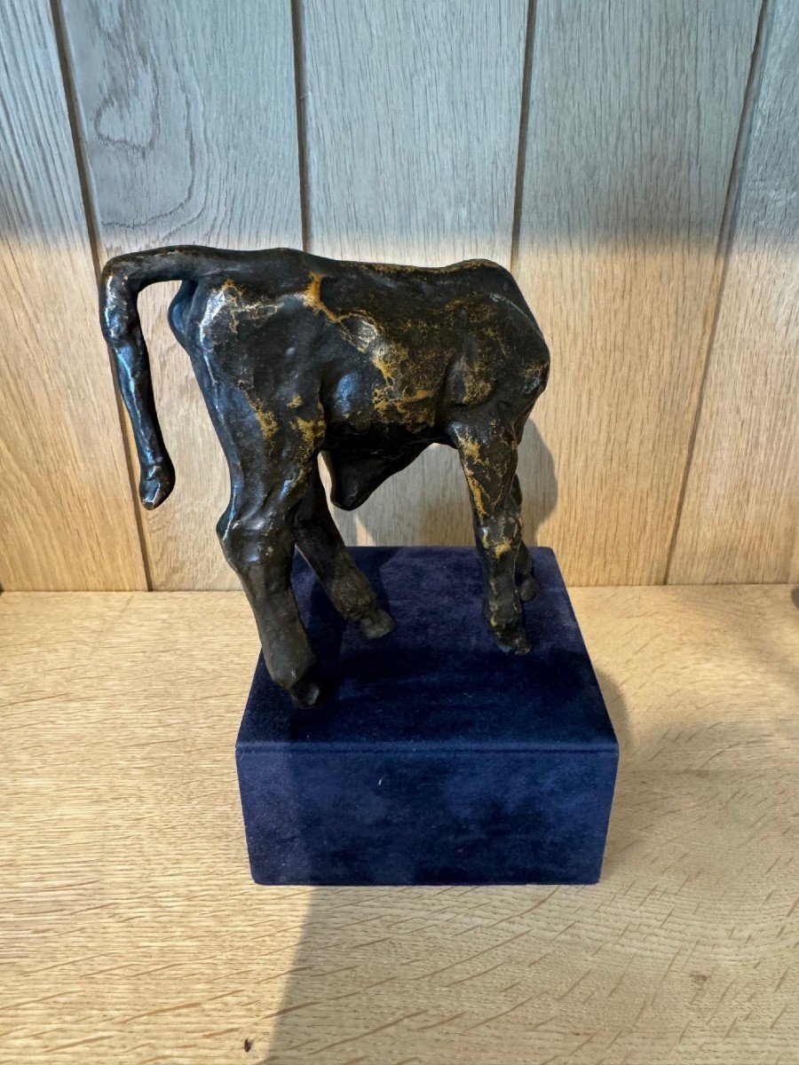 Renée Sintenis (1888 – 1965) Sculpture En Bronze  « Jeune Taureau »-photo-6
