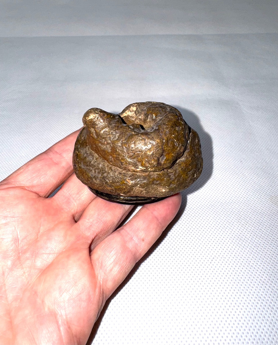 Tabatière “trompe l’oeil” en forme d'étron en carton bouilli-photo-4