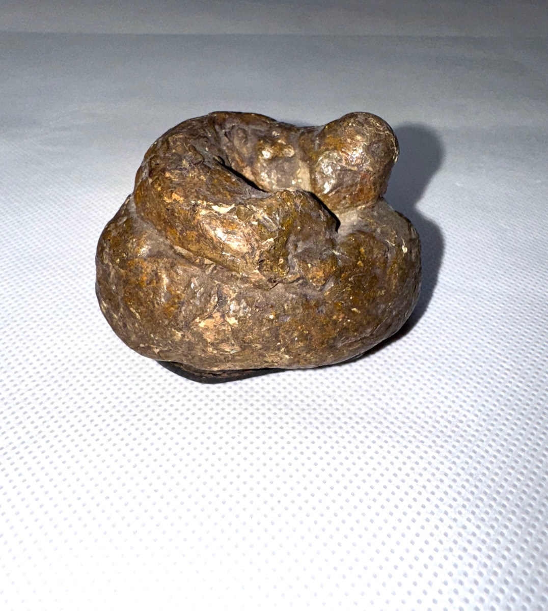 Tabatière “trompe l’oeil” en forme d'étron en carton bouilli-photo-6