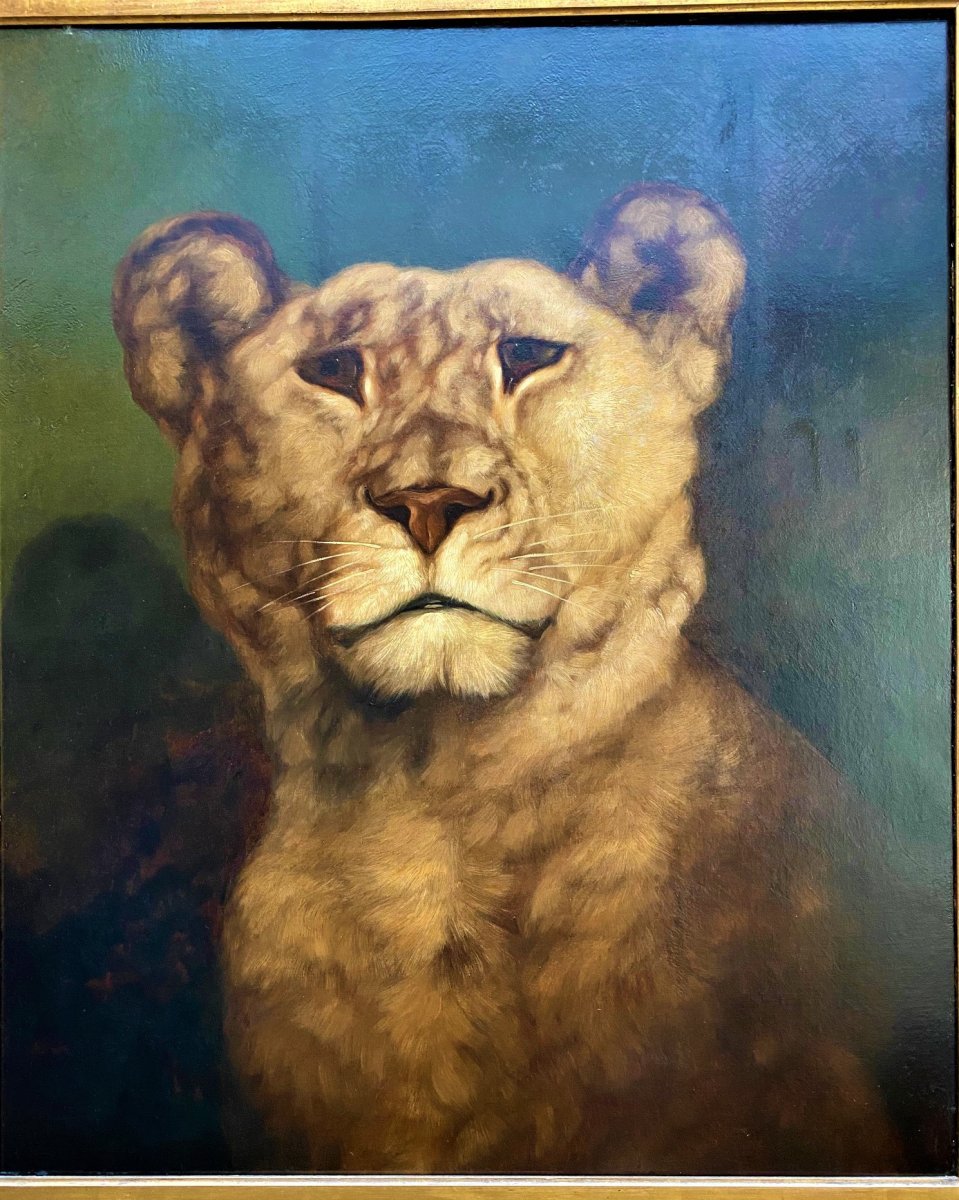 Charles Edward Brittan (1837-1888) "lioness", Oil On Canvas Signed And Dated 1868-photo-1
