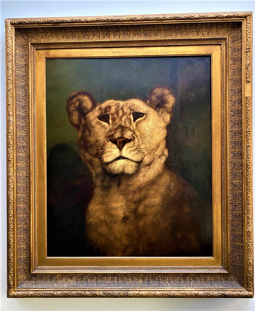 Charles Edward Brittan (1837-1888) "lioness", Oil On Canvas Signed And Dated 1868