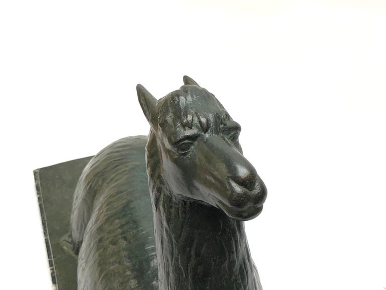 Ecole Sud Americaine Du XXe Siecle, Un Lama En Bronze -photo-2