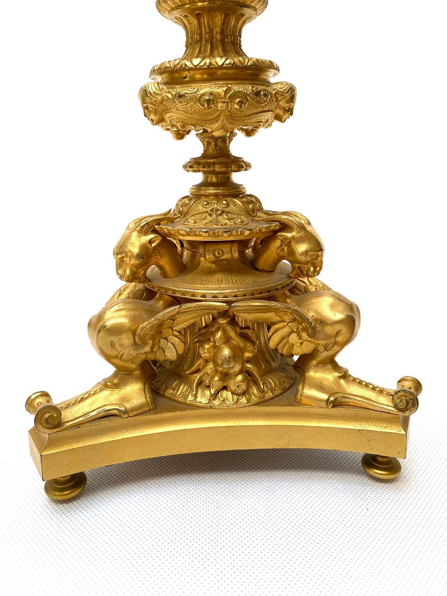 Pair Of French 19th C Gilt Bronze Candlesticks With Griffins-photo-3