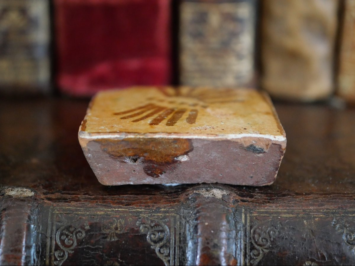 Medieval Paving Tile – 7 Ears Of Wheat Motif, Flanders (bruges Region)-photo-4