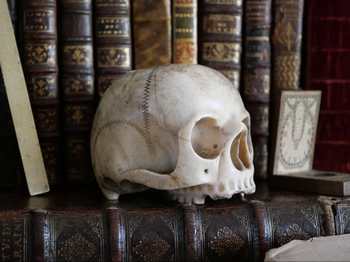 Vanitas - Memento Mori - Carrara Marble Skull, Italy, 18th Century-photo-2