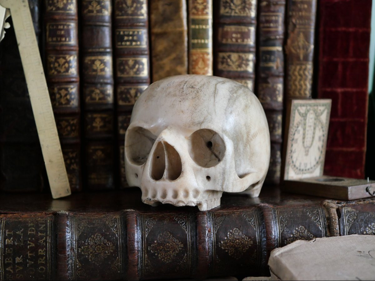 Vanitas - Memento Mori - Carrara Marble Skull, Italy, 18th Century-photo-3