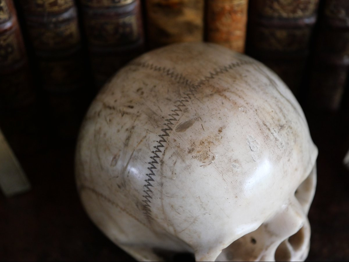Vanitas - Memento Mori - Carrara Marble Skull, Italy, 18th Century-photo-4