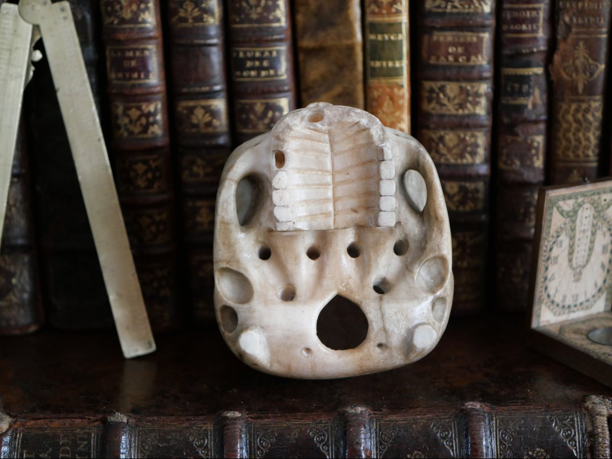 Vanitas - Memento Mori - Carrara Marble Skull, Italy, 18th Century-photo-2