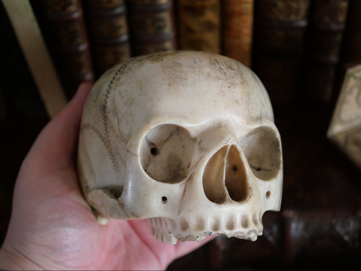 Vanitas - Memento Mori - Carrara Marble Skull, Italy, 18th Century-photo-3