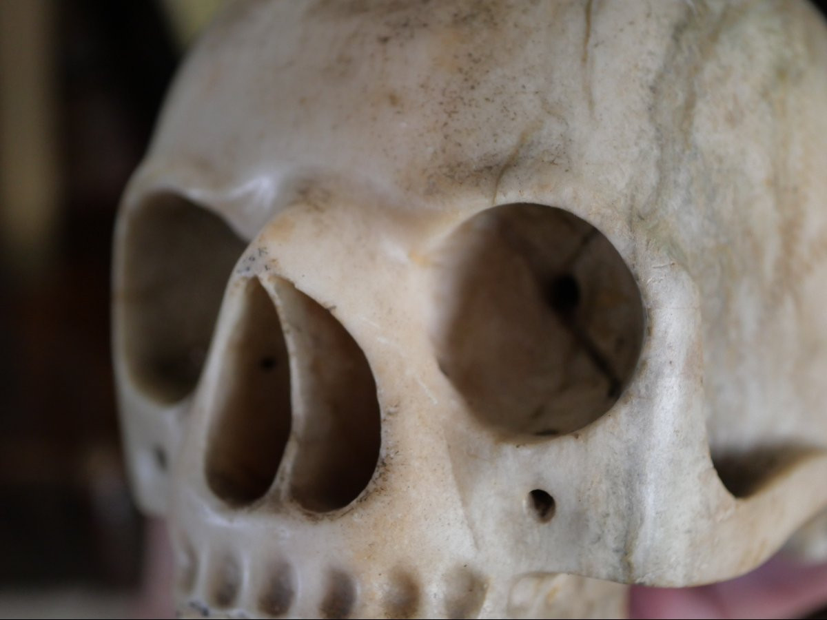 Vanitas - Memento Mori - Carrara Marble Skull, Italy, 18th Century-photo-4