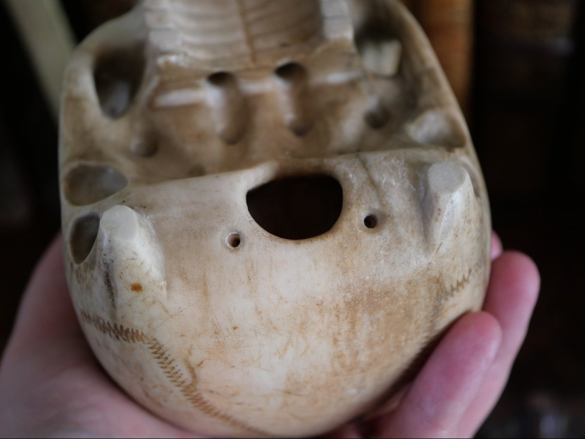 Vanitas - Memento Mori - Carrara Marble Skull, Italy, 18th Century-photo-5