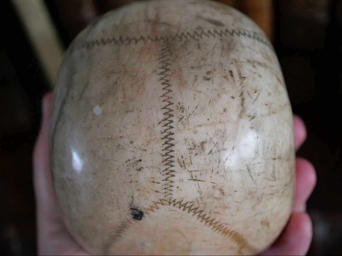Vanitas - Memento Mori - Carrara Marble Skull, Italy, 18th Century-photo-6