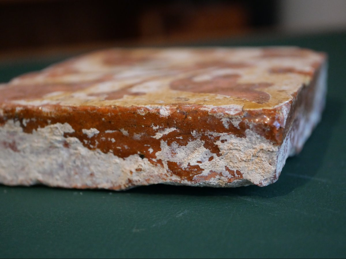 Medieval Paving Tile With Fleur-de-lis - Normandy, 13th-14th Century-photo-2