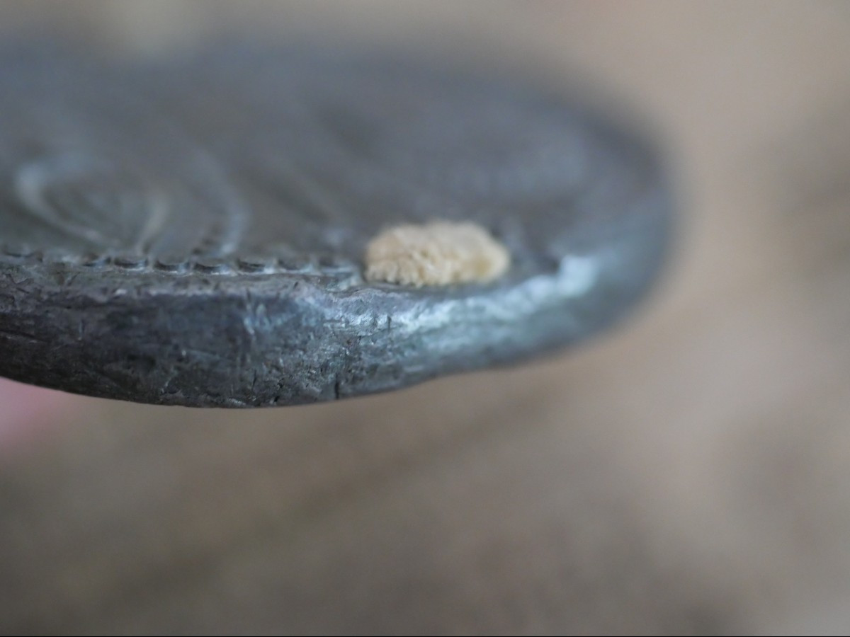 Medieval Papal Bull In Lead By Pope Innocent IV (1243-1254) 13th Century, Exceptional Condition-photo-1