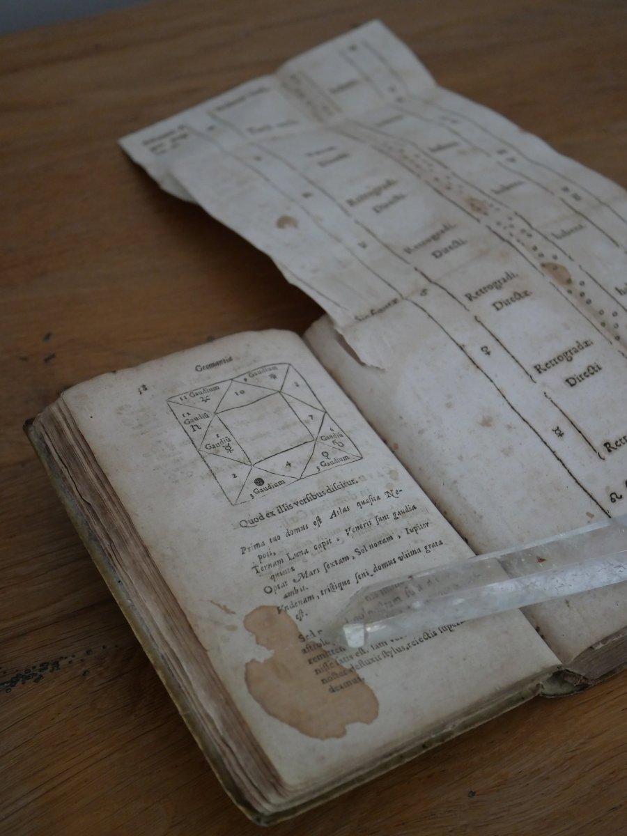 Esotérisme, géomancie, sciences occultes – Opus Geomantiae completum – 1627–  Henricus de Picis-photo-7