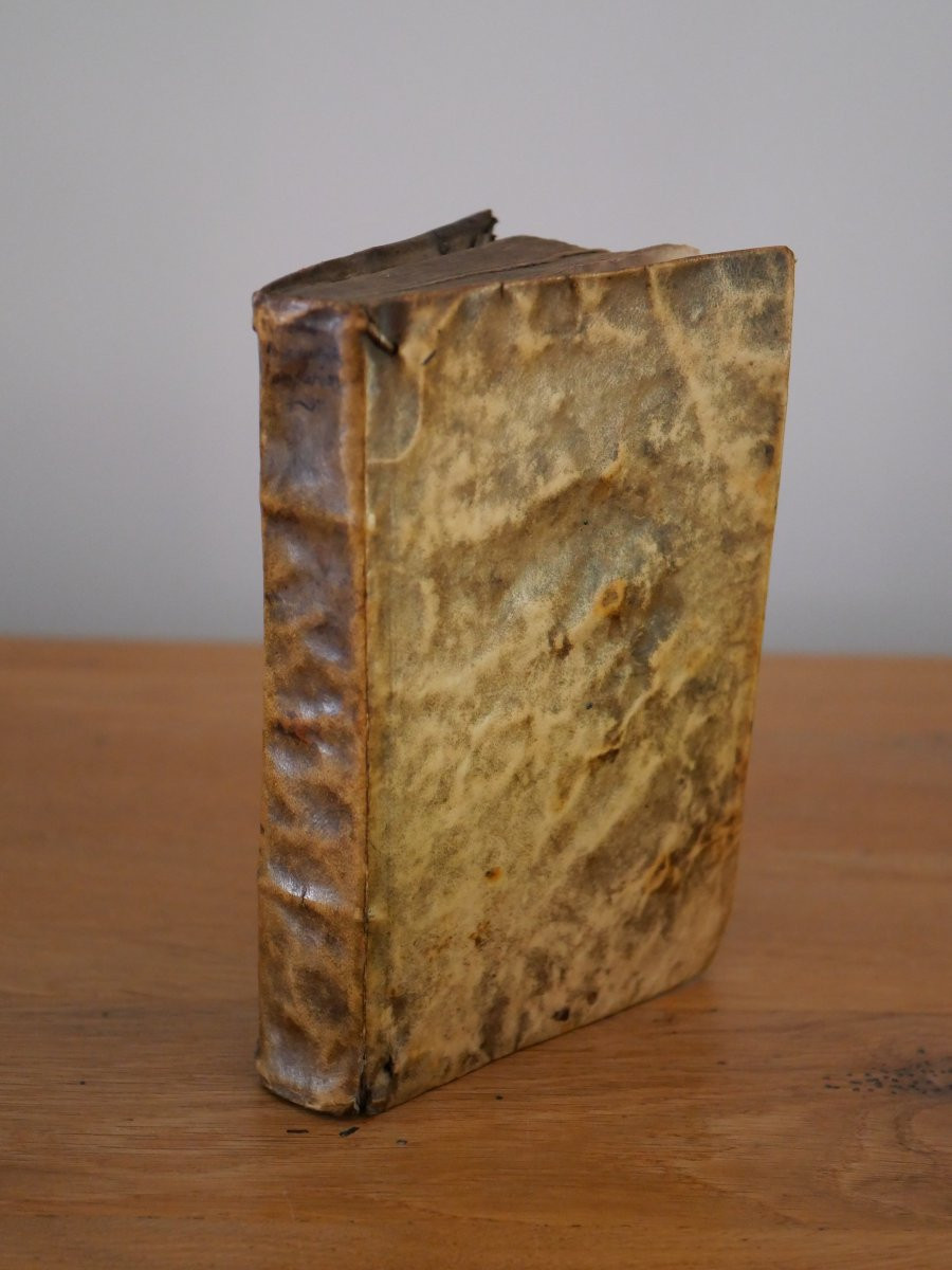 Esotérisme, géomancie, sciences occultes – Opus Geomantiae completum – 1627–  Henricus de Picis-photo-8