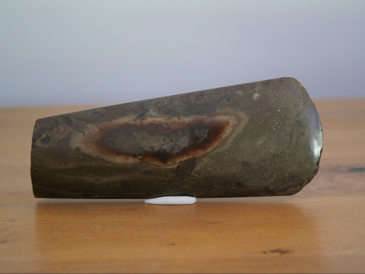 Large Polished Axe From The Late Neolithic Period (3400–2900 B.c.) – Found In Héverlé, Belgium, In 1866-photo-3
