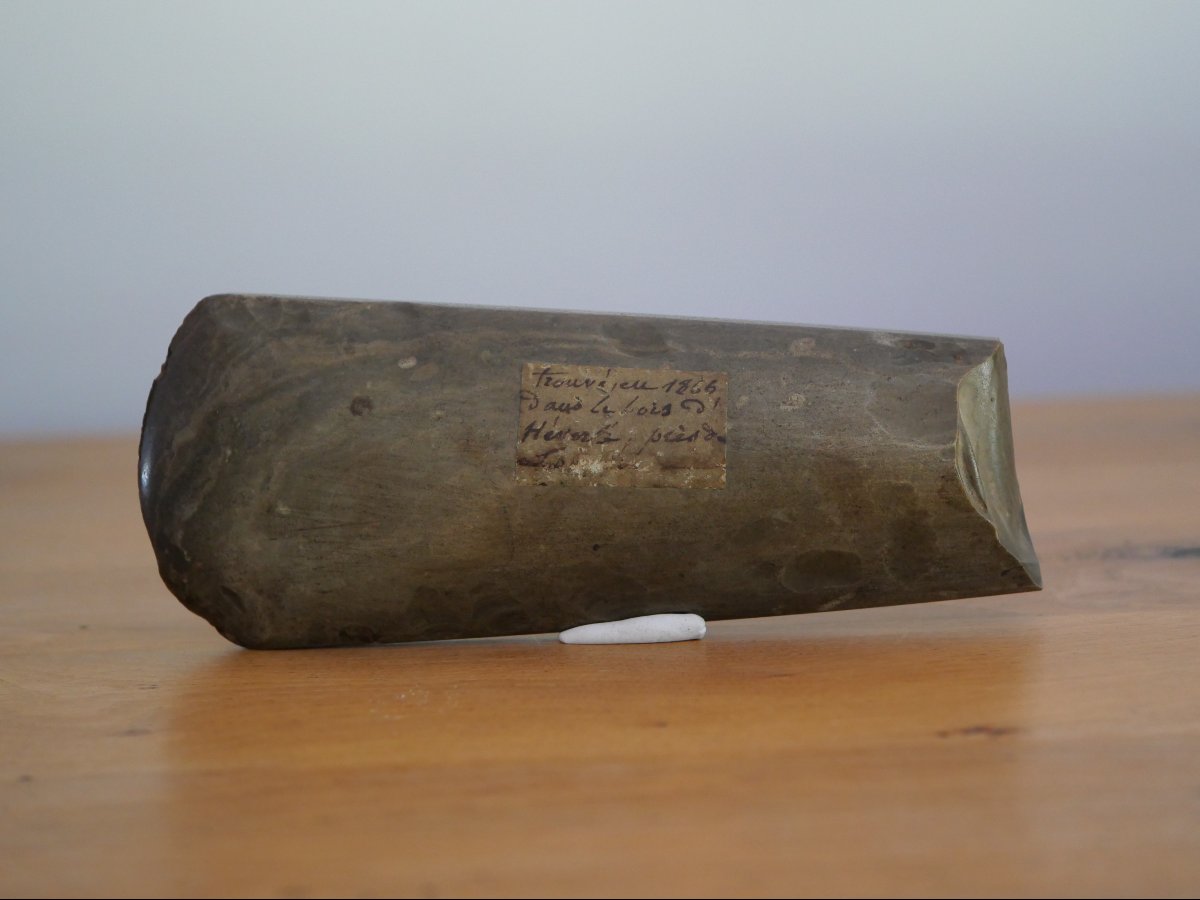 Large Polished Axe From The Late Neolithic Period (3400–2900 B.c.) – Found In Héverlé, Belgium, In 1866