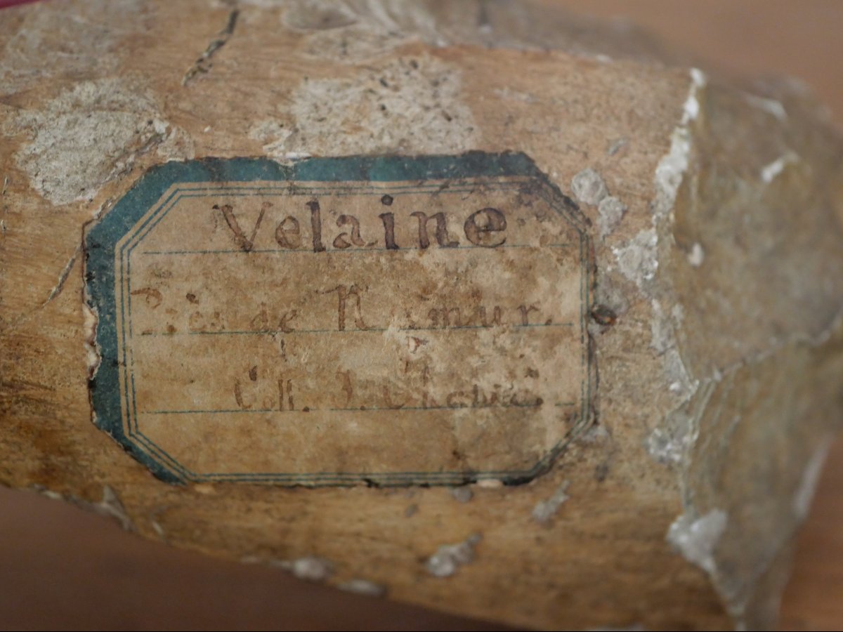 Fragment de hache polie néolithique – Velaine près de Namur – ancienne collection XIXe siècle -photo-2